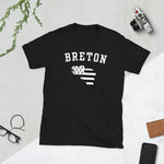 T-shirt Breton - style américain avec la carte et le drapeau bretons