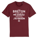 Breton toujours raison R - T-shirt coton bio - imprimé FR - Ici & Là - T-shirts & Souvenirs de chez toi
