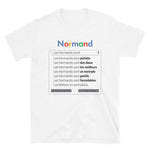 Les Normands Gogole search parodie - T-shirt Standard - Ici & Là - T-shirts & Souvenirs de chez toi