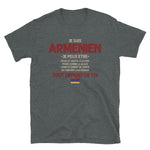 Arménien ça dépend de toi - T-shirt Standard - Ici & Là - T-shirts & Souvenirs de chez toi