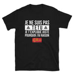 Têtu - Normand - Normandie - T-shirt Standard - Ici & Là - T-shirts & Souvenirs de chez toi