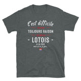 Lotois Raison - T-shirt Standard - Ici & Là - T-shirts & Souvenirs de chez toi