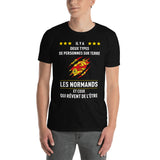 Normands, Il y a deux types de personnes - T-shirt standard - Ici & Là - T-shirts & Souvenirs de chez toi