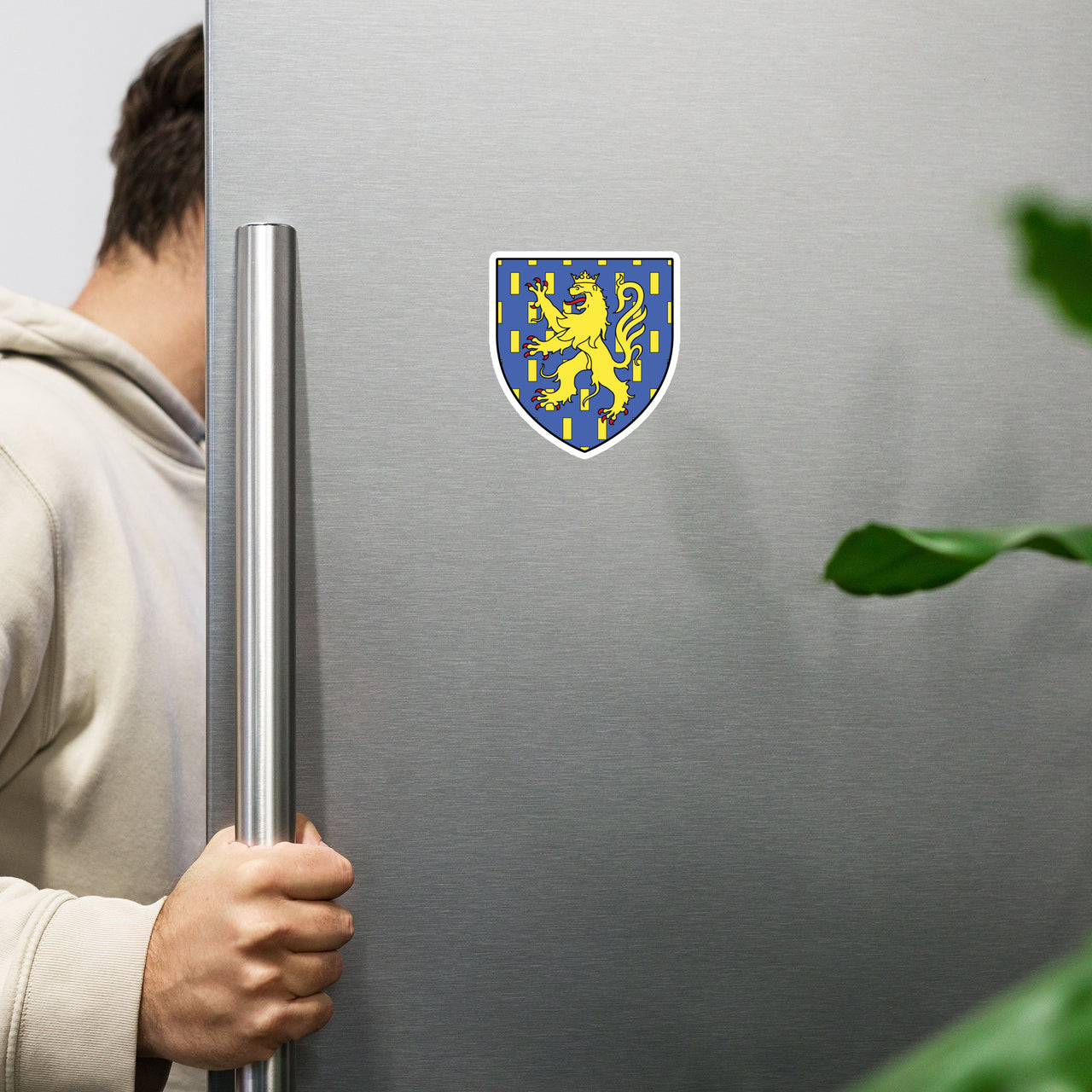 Aimant Franche-Comté - Design du blason en détail