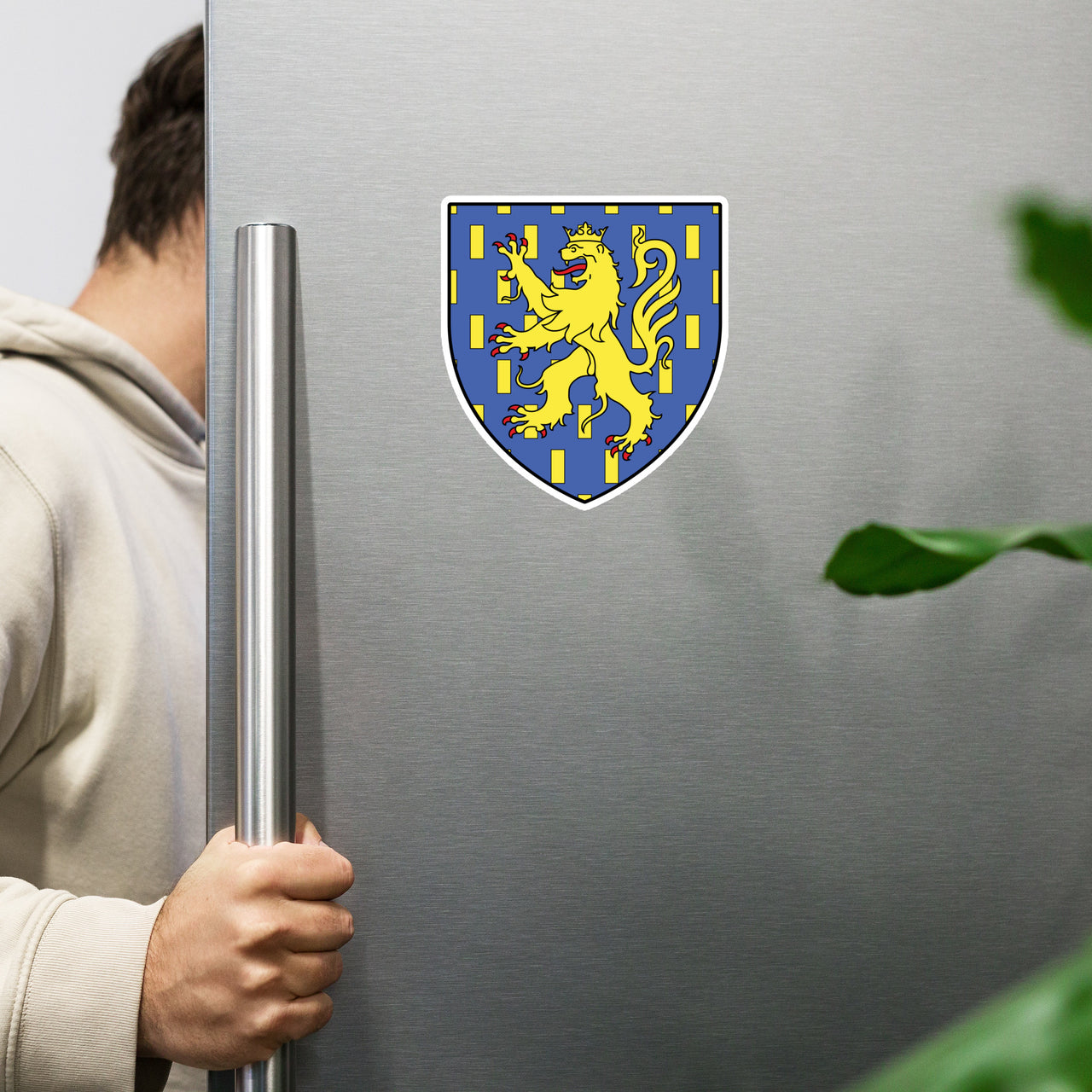 Aimant Franche-Comté - Blason coloré et moderne