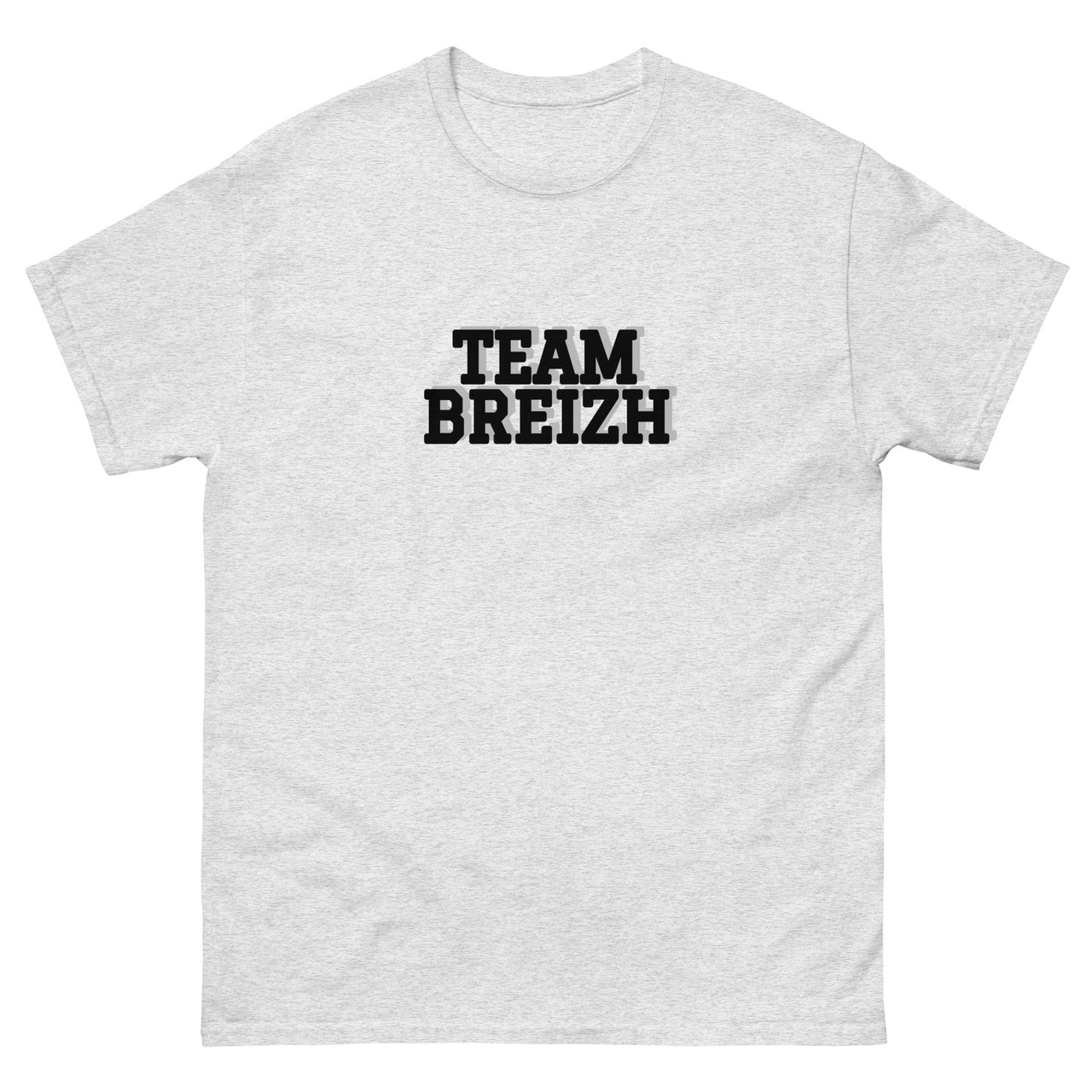T-shirt Bretagne gris pinchard - TEAM BREIZH avec humour