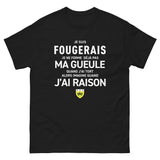 T-shirt cadeau humour Fougères - Bretagne
