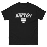 Thumbnail for T-shirt Bretagne gris sport - Je ne suis pas têtu, je suis Breton