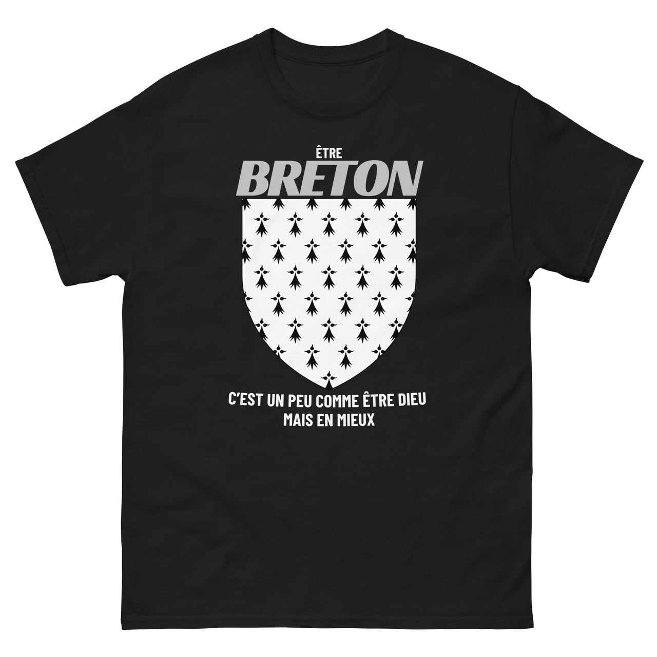 T-shirt Bretagne gris sport - Être Breton c'est divin