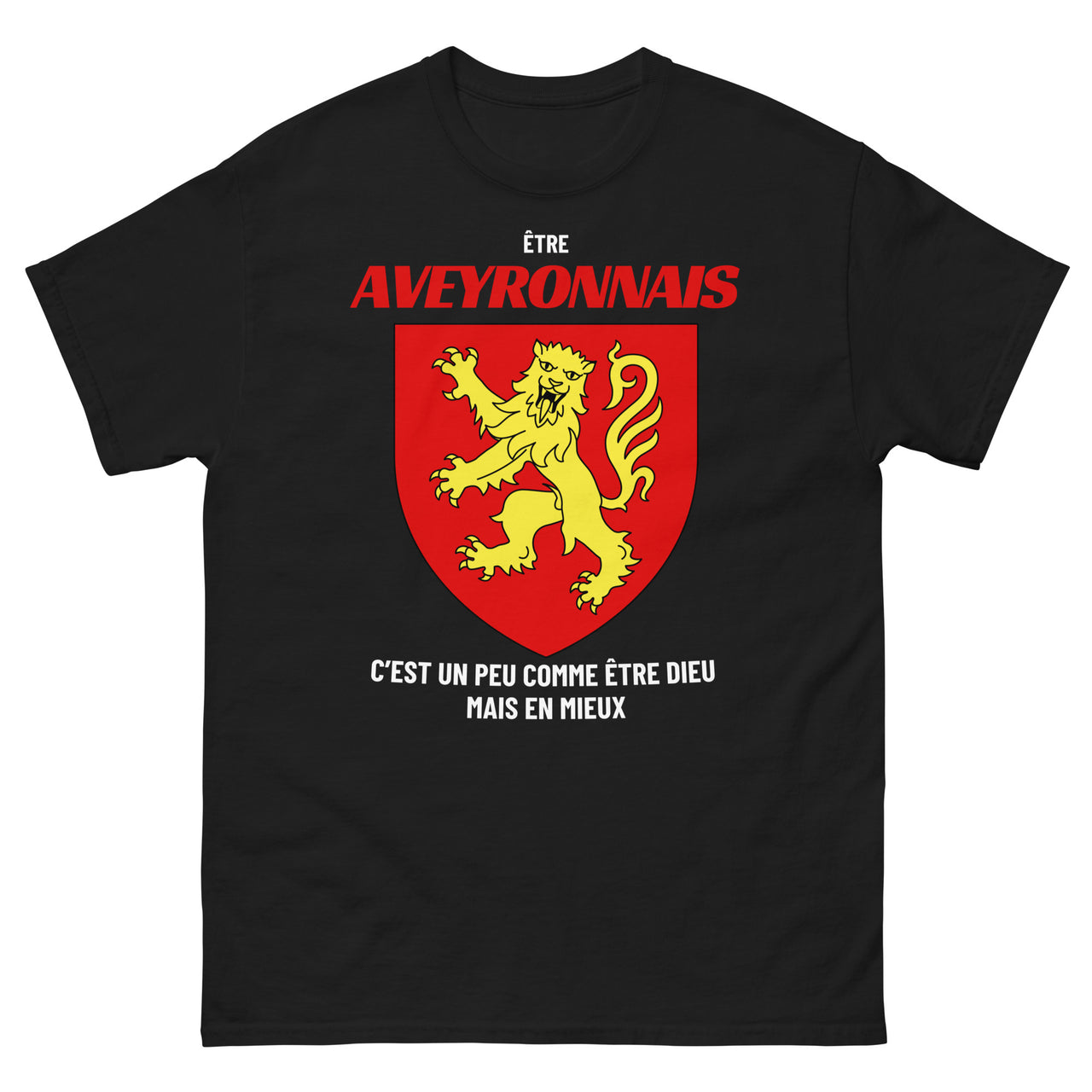 T-shirt Aveyronnais gris sport - C'est un peu comme être Dieu