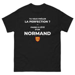T-shirt cadeau humour Normand : frôler la perfection
