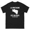 T-shirt Bretagne gris sport - La Bretagne est un pays