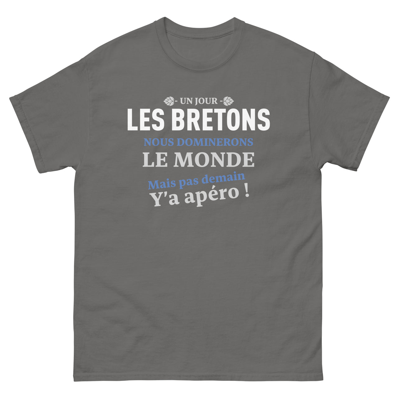 T-shirt Bretagne noir dos - Humour apéro et fierté locale