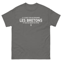 Thumbnail for T-shirt Bretagne vert militaire - Deux types de personnes
