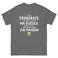 Thumbnail for T-shirt Bretagne bordeaux dos - Je suis Fougerais, humour