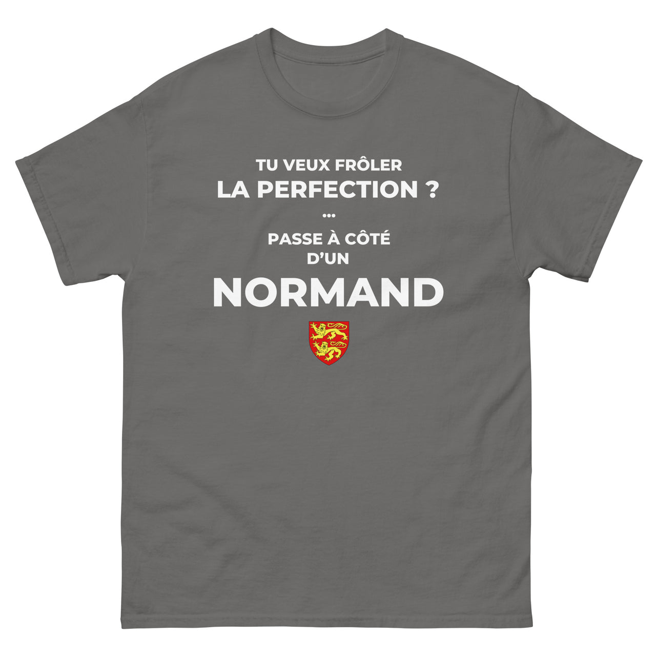 T-shirt Normand bleu marine face - Frôler la perfection