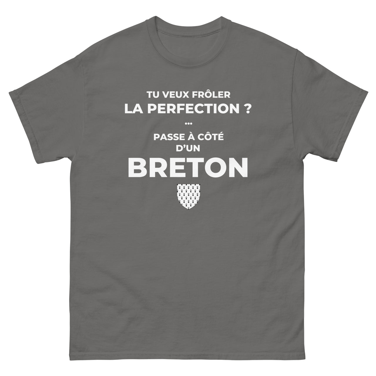 T-shirt Bretagne noir dos - Frôlez la perfection