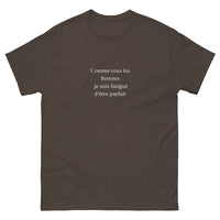 Thumbnail for T-shirt humour chocolat noir - Fatigué d'être parfait dos