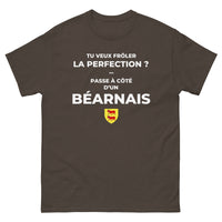 Thumbnail for T-shirt Béarn bordeaux face - Frôler la perfection