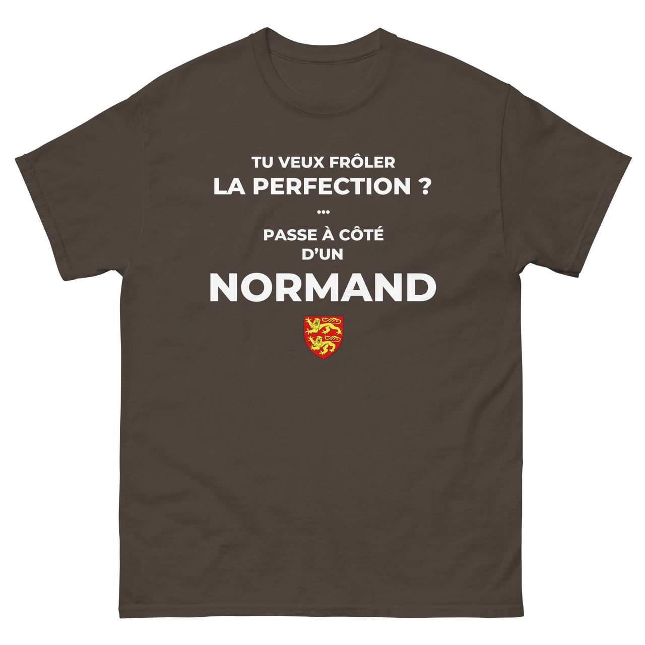 T-shirt Normand bordeaux face - Frôler la perfection