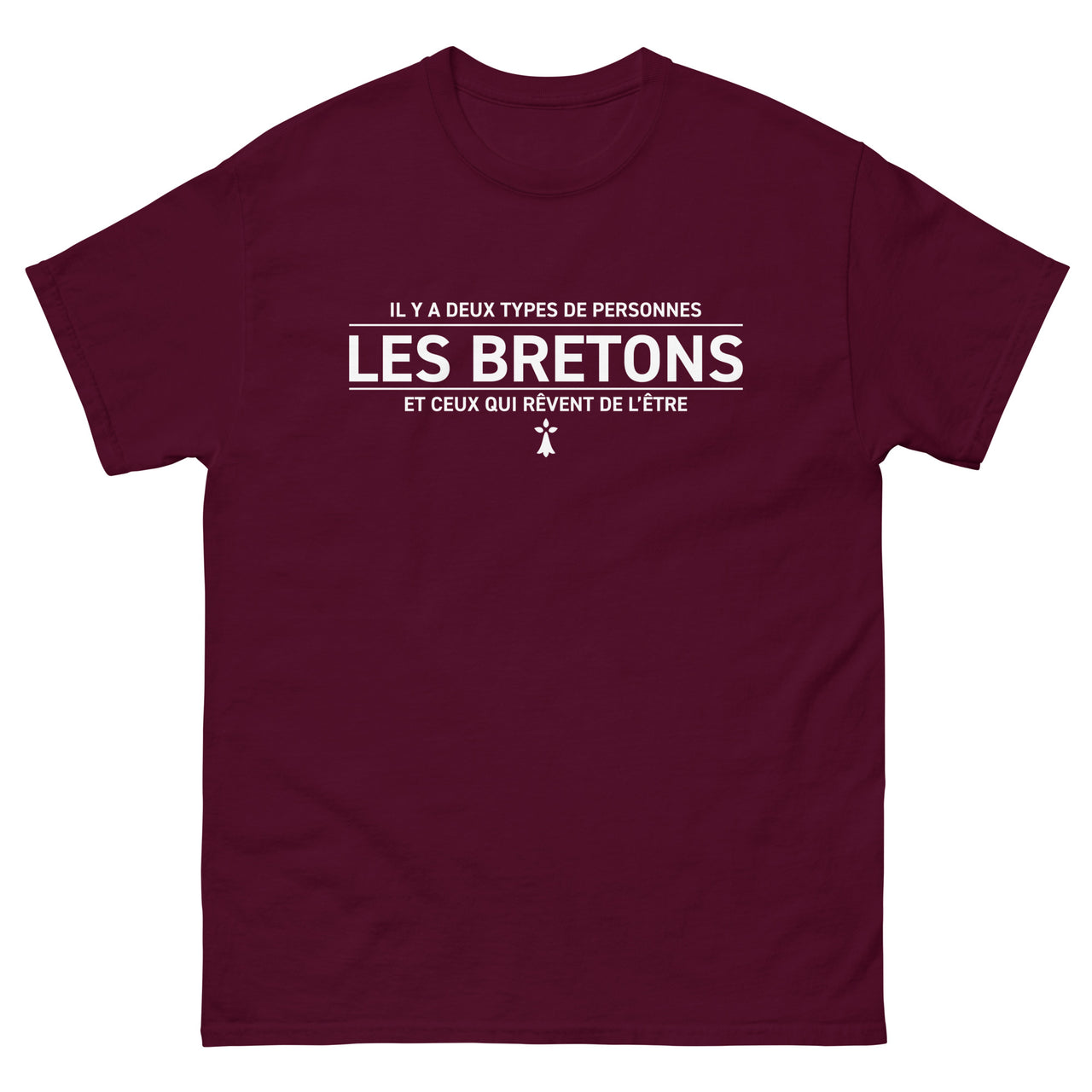 T-shirt Bretagne bleu marine - Deux types de personnes