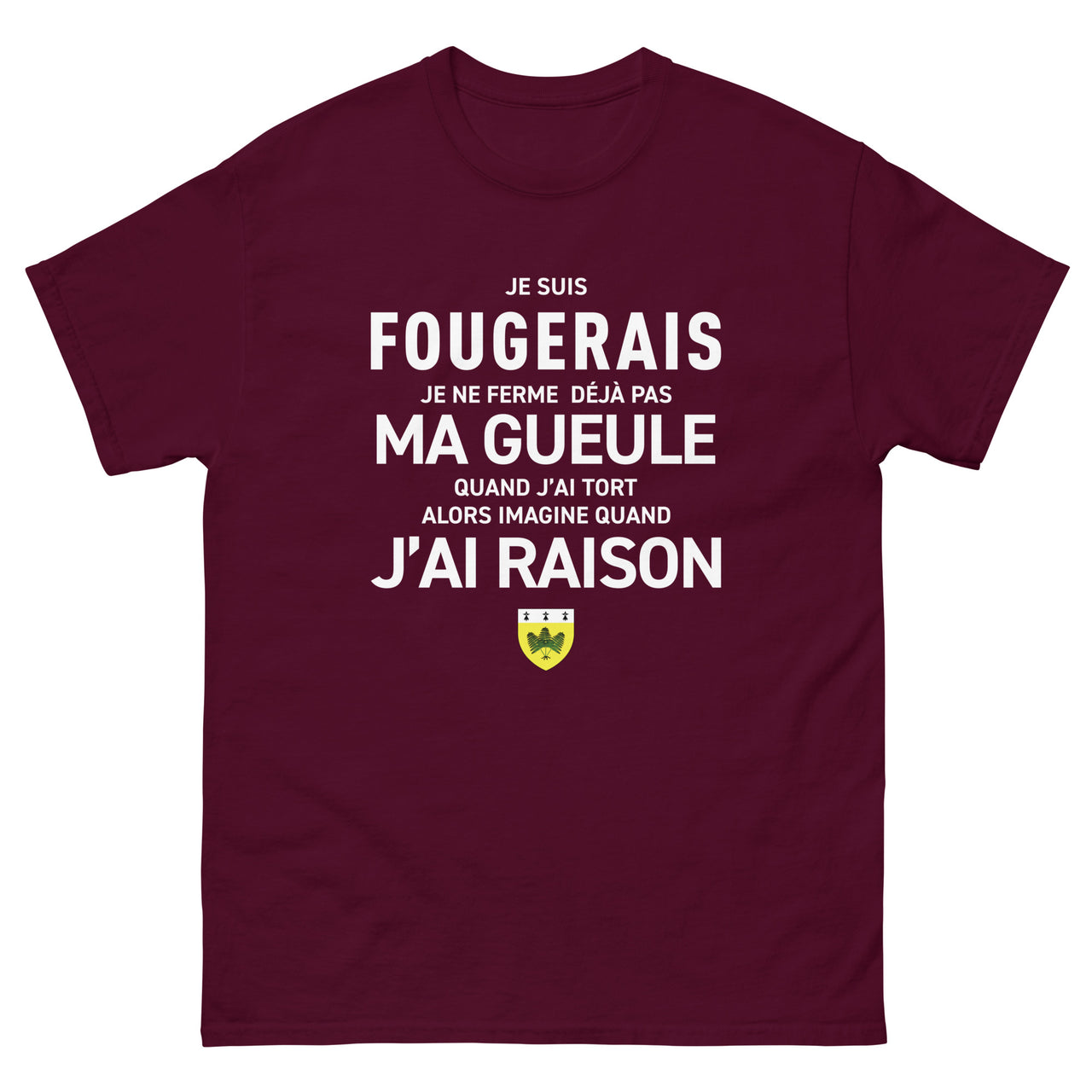 T-shirt Bretagne anthracite - Je suis Fougerais, humour