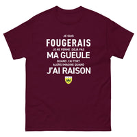 Thumbnail for T-shirt Bretagne anthracite - Je suis Fougerais, humour