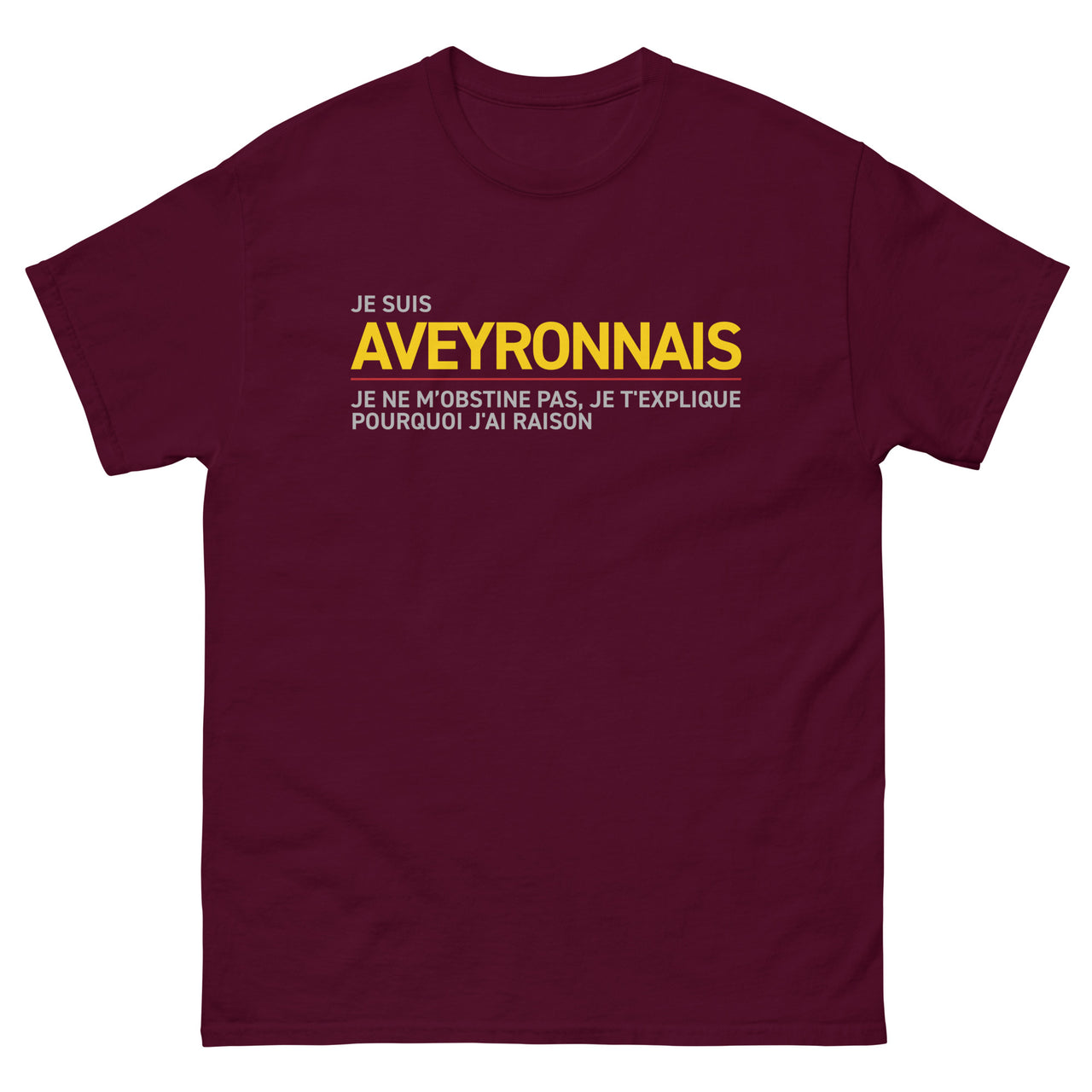 T-shirt Aveyron bleu marine - Je t'explique pourquoi j'ai raison