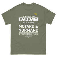 Thumbnail for T-shirt Normand anthracite dos - Je ne suis pas parfait mais presque