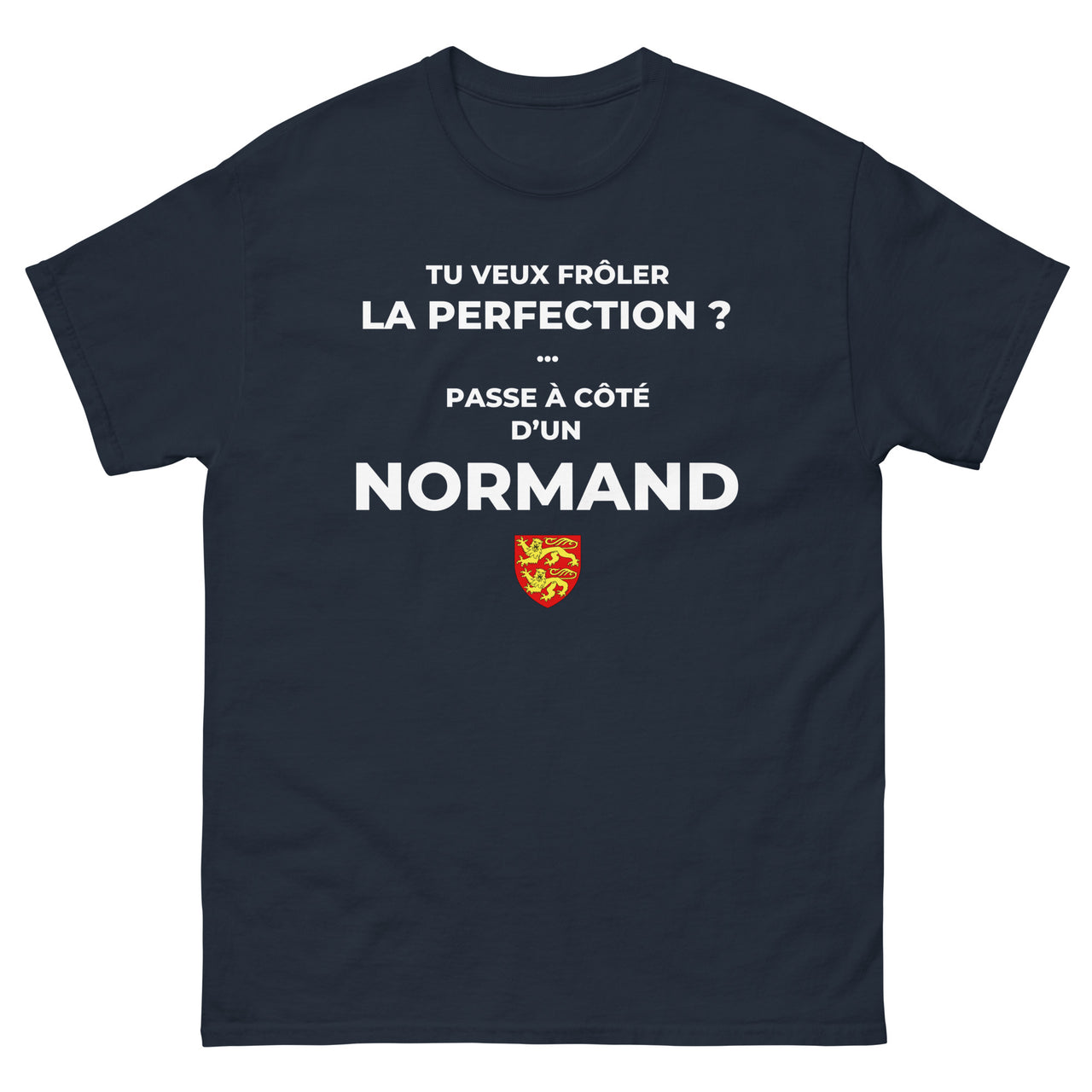 T-shirt Normand gris foncé chiné - Frôler la perfection