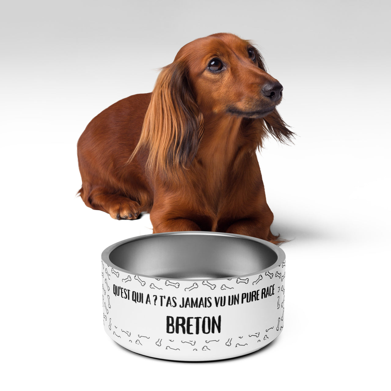 Gamelle Bretagne - Confort et humour pour chiens