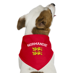 Bandana pour chien Normandie Style Universitaire - red