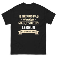 Thumbnail for T-shirt Bretagne noir - Je ne suis pas parfait mais je suis un Le Brun