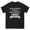 T-shirt Bretagne noir - Je ne suis pas parfait mais je suis un Le Brun
