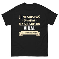 Thumbnail for T-shirt Vidal noir - Je ne suis pas parfait, je suis un Vidal
