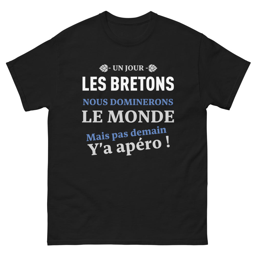 T-shirt Bretagne noir - Domination mondiale en attente