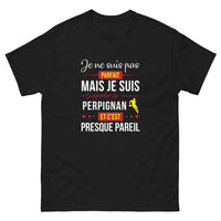 Thumbnail for T-shirt Perpignan noir - Je ne suis pas parfait mais je suis supporter