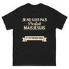 T-shirt Bretagne noir - Je ne suis pas parfait mais je suis breton