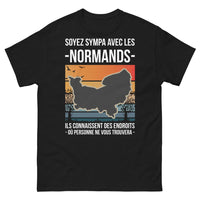 Thumbnail for T-shirt Normand noir - Soyez sympa avec les Normands