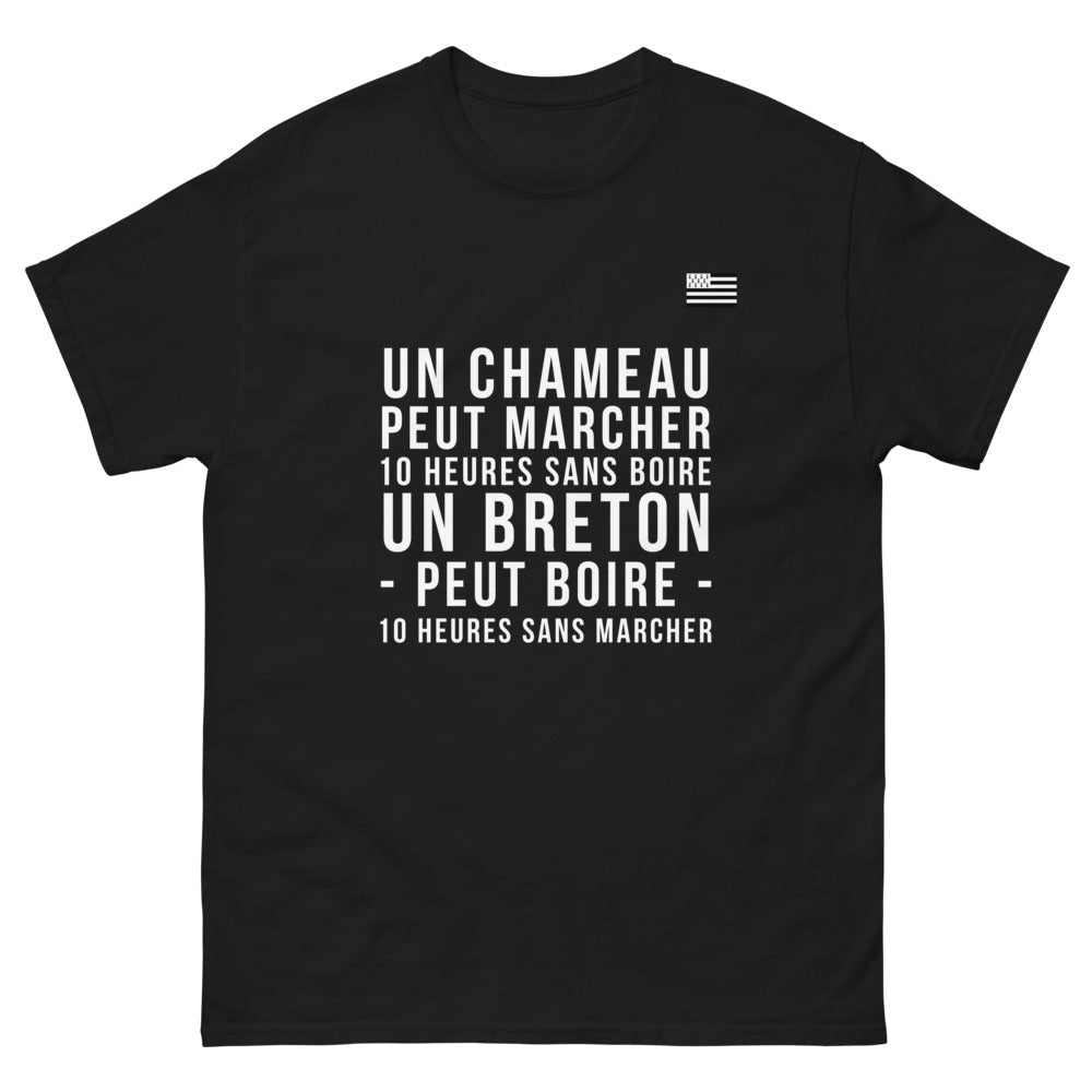 T-shirt Bretagne noir - Chameau et amour du terroir