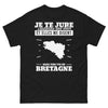 T-shirt Bretagne noir - Je te jure, j'entends des voix