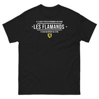 Thumbnail for T-shirt Flamand noir - Les deux types de personnes