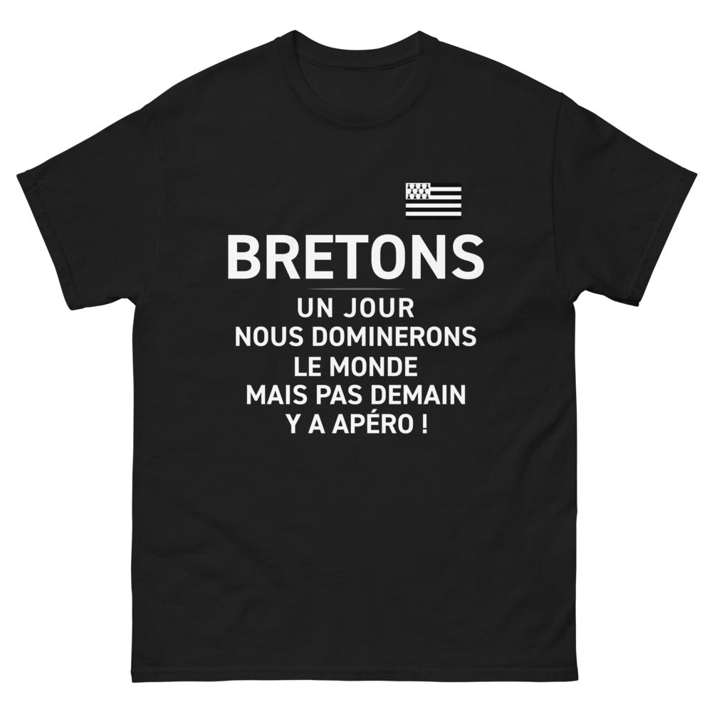 T-shirt Bretagne noir - Un jour nous dominerons le monde