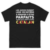 T-shirt Aude noir - Les Audois passent leur vie à essayer d'être parfaits