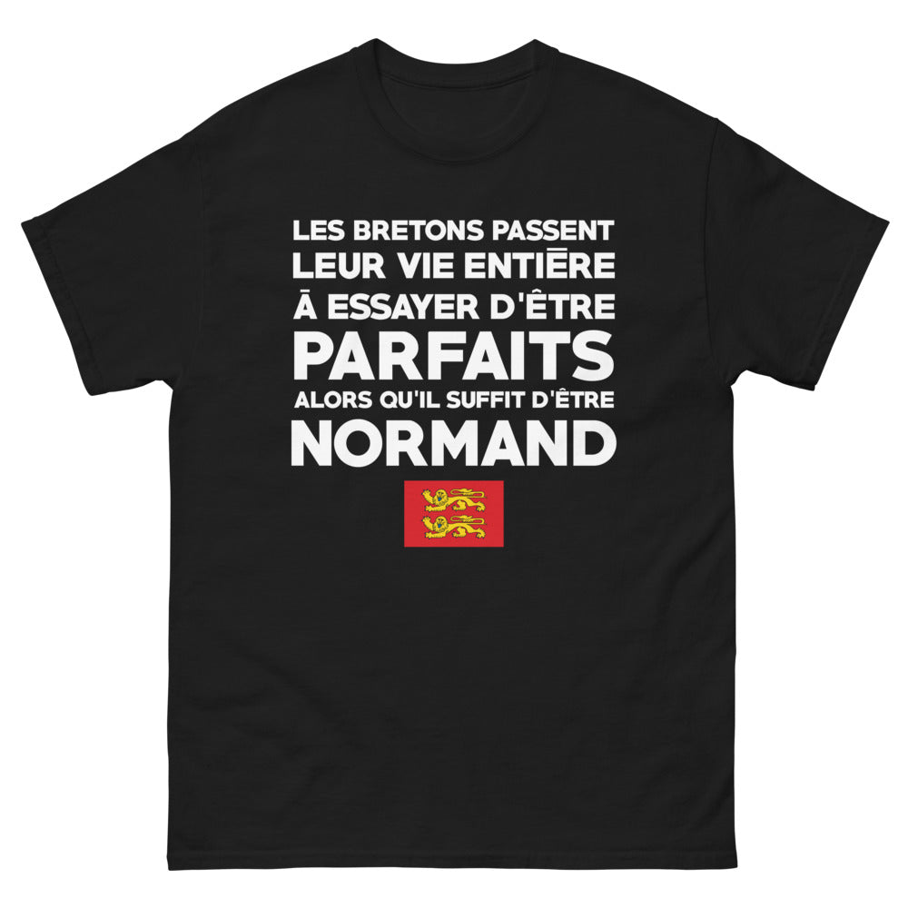 T-shirt Normand noir - Les Bretons et leur quête de perfection