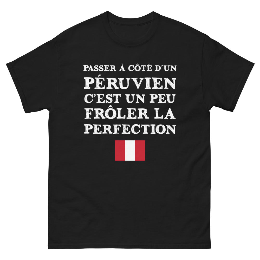 T-shirt Péruvien noir - Frôler la perfection avec humour