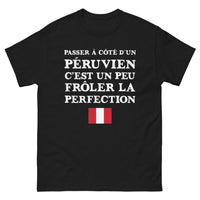 Thumbnail for T-shirt Péruvien noir - Frôler la perfection avec humour