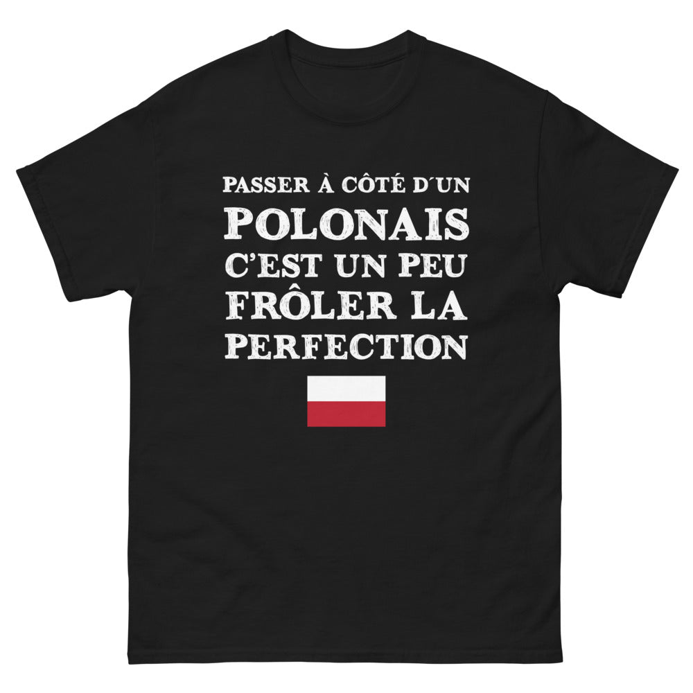 T-shirt Pologne noir - Passer à côté d'un Polonais, c'est frôler la perfection