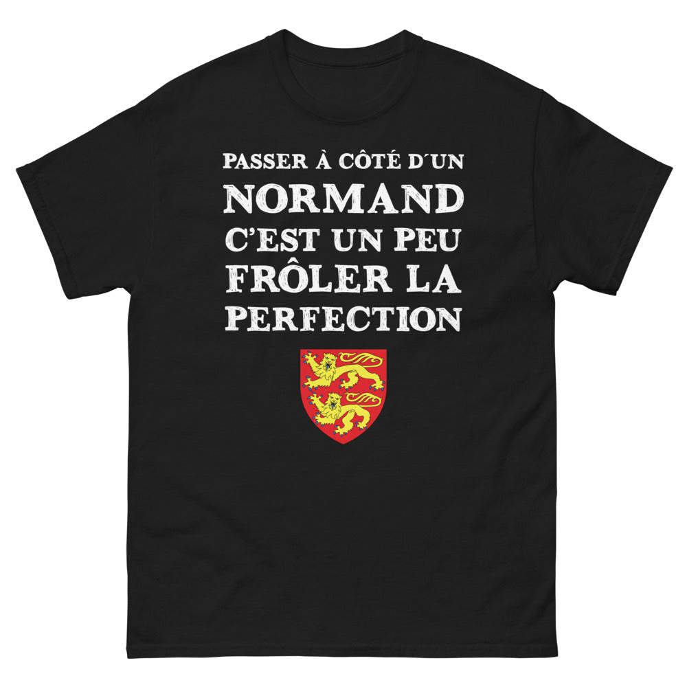 T-shirt Normand noir - Passer à côté d'un Normand, c'est frôler la perfection