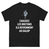 T-shirt Bretagne noir - Chassez-les, ils reviennent !
